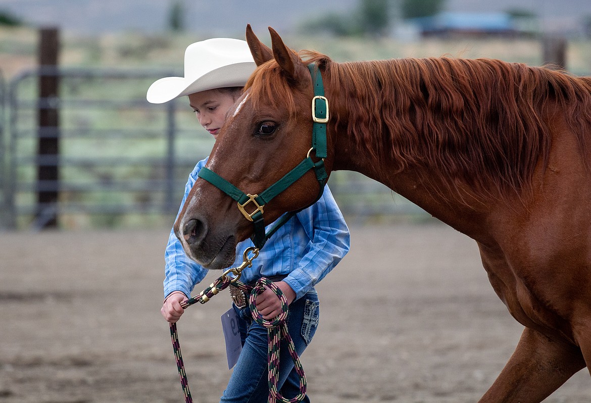 Buckle Series horse show offers return for riders and families